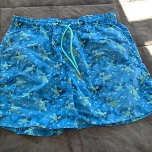 Turtle Swim Trunks
